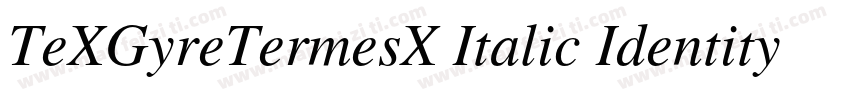 TeXGyreTermesX Italic Identity H字体转换